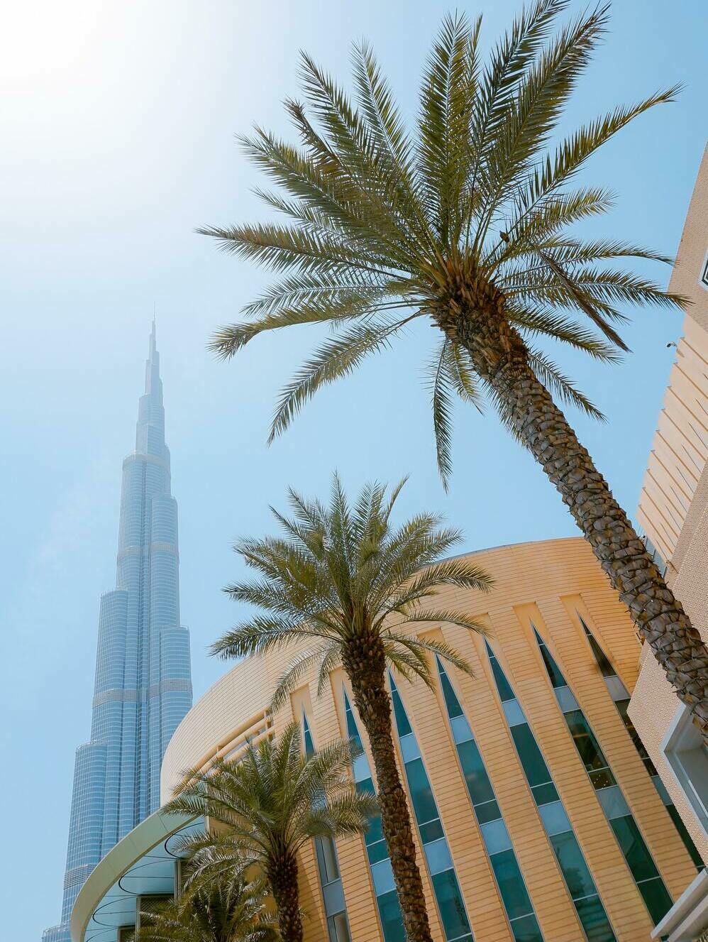 купить алкоголь в дубае купить алкоголь в дубае