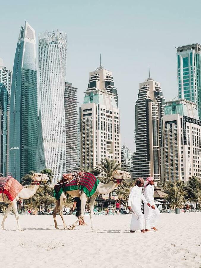 купить алкоголь в дубае купить алкоголь в дубае